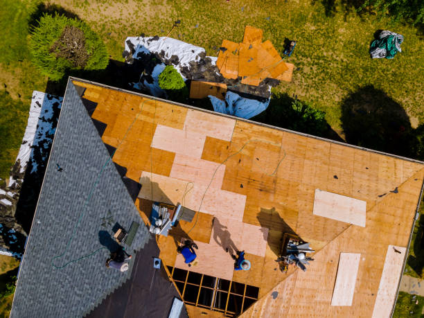 Best Roof Gutter Cleaning  in Bowdon, GA