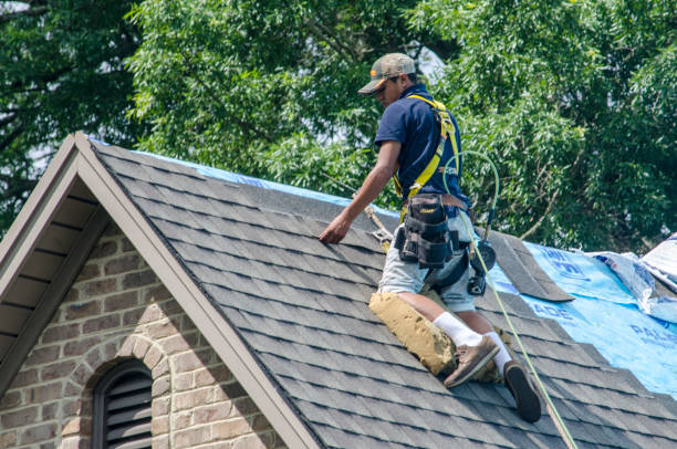 Best Roof Maintenance Services  in Bowdon, GA